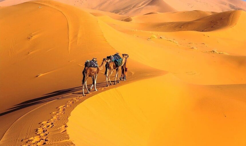 Ruta por el desierto del Sahara: Un viaje que te cambiará la vida