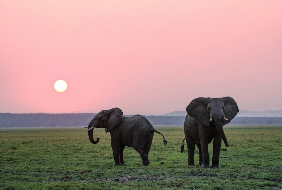 Botswana
