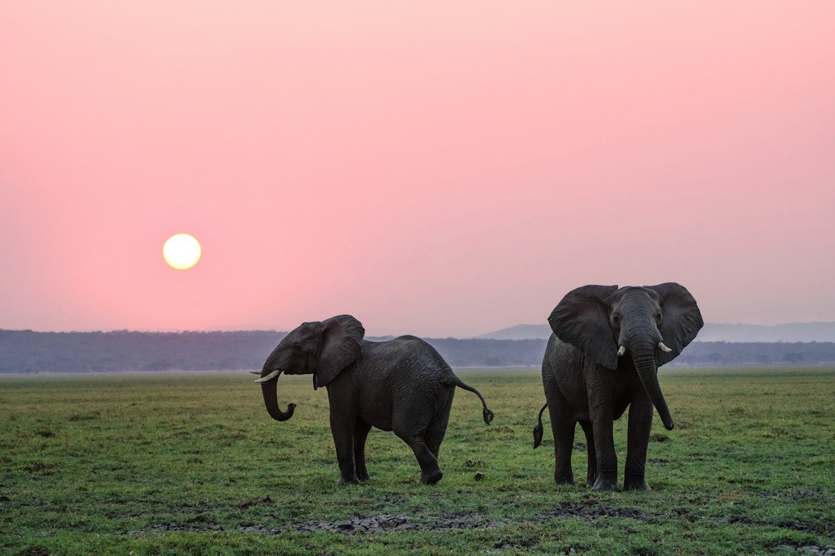 Botswana