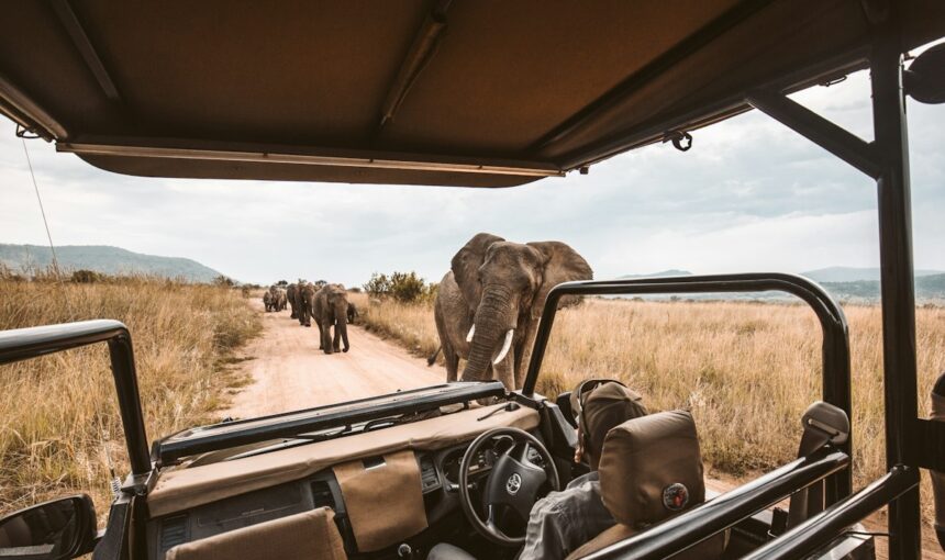 ¿Kenia y Zanzíbar o Sudáfrica, Zimbabue y Botswana? Cómo elegir tu primer viaje a África
