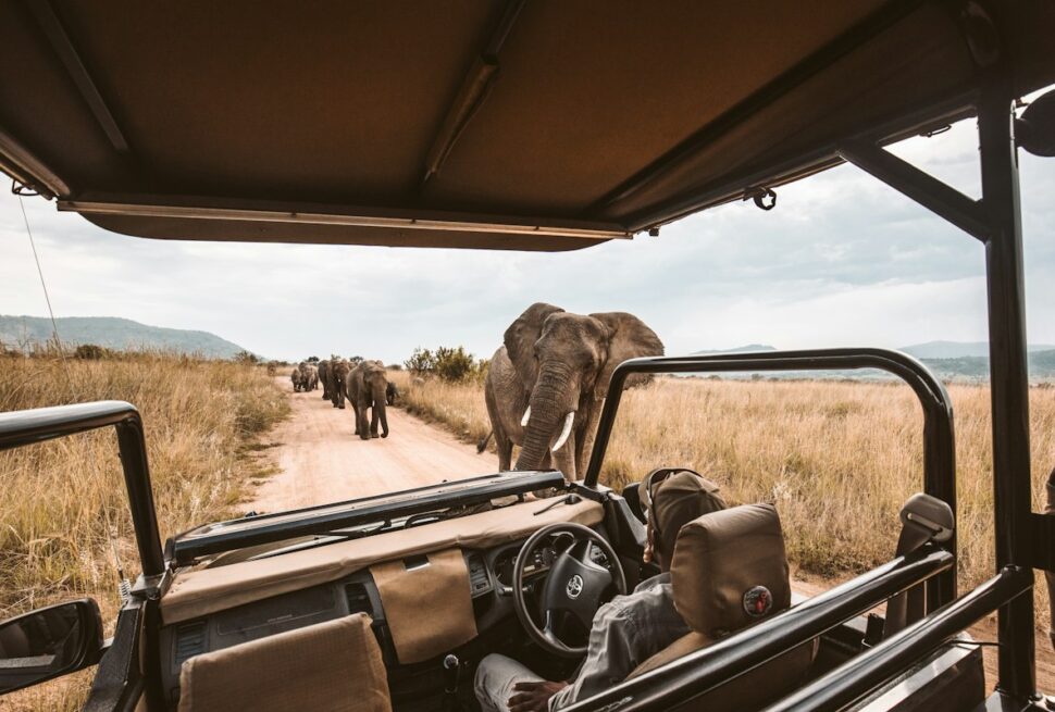 ¿Kenia y Zanzíbar o Sudáfrica, Zimbabue y Botswana? Cómo elegir tu primer viaje a África